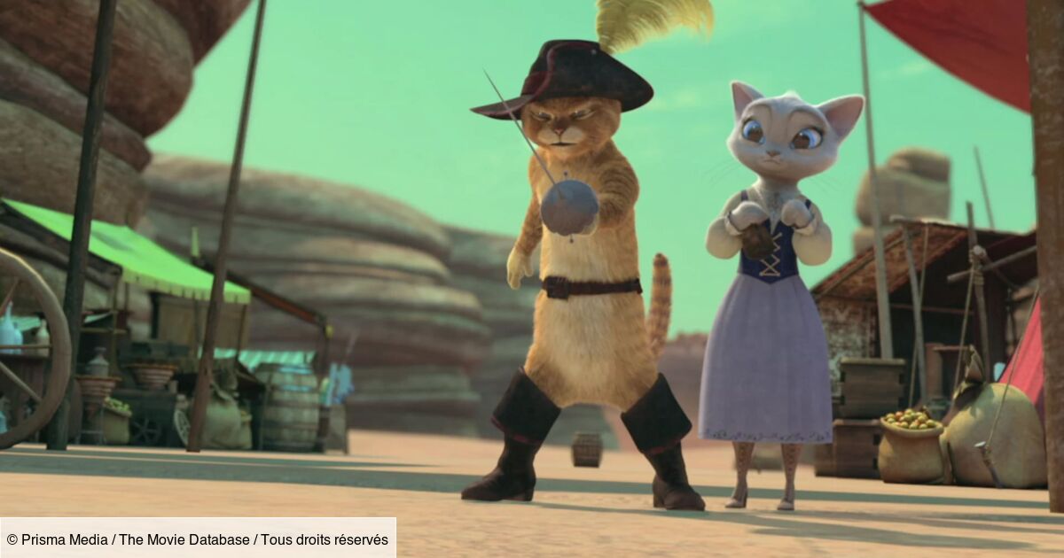 Le Chat Potté 2 La Dernière Quête Les aventures du Chat Potté