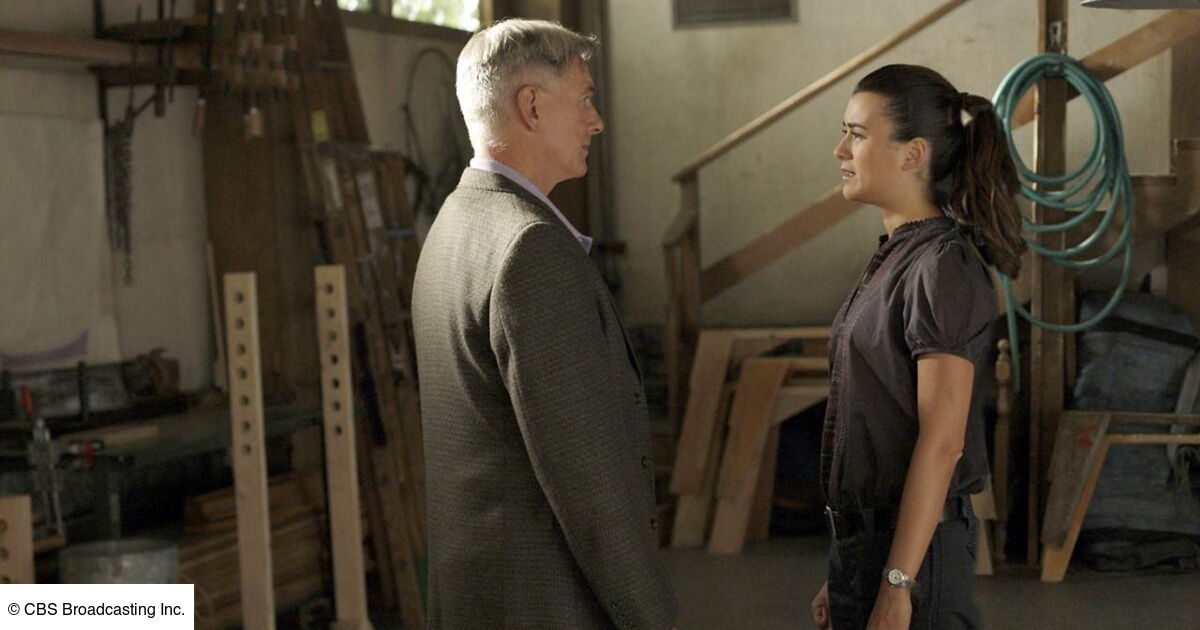 NCIS enquêtes spéciales