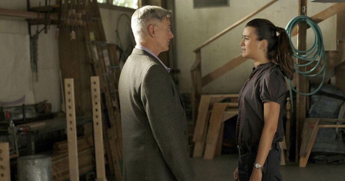 Saison 18 De Ncis : Enquêtes Spéciales NCIS : enquêtes spéciales