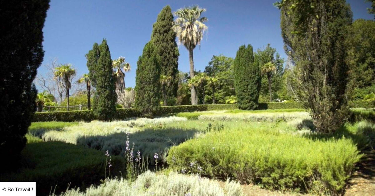 Jardins d'ici et d'ailleurs