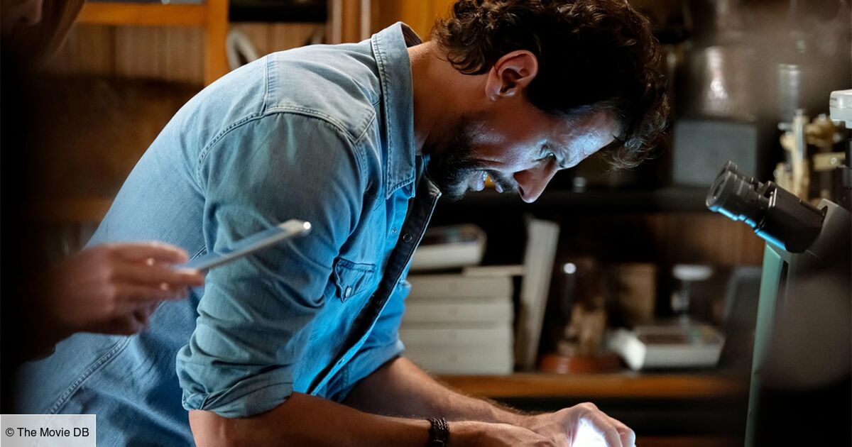 Dr Harrow Saison 1 Episode 10 Dr Harrow