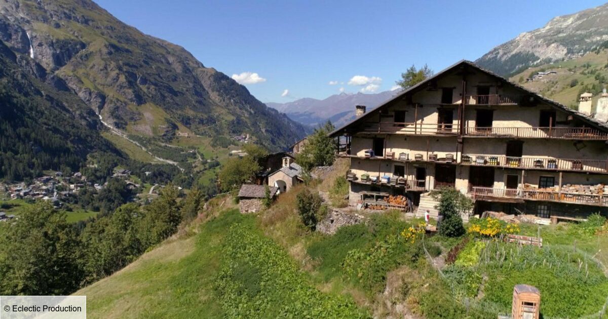Des Racines Et Des Ailes Les Pyrénées Au Coeur Des racines et des ailes