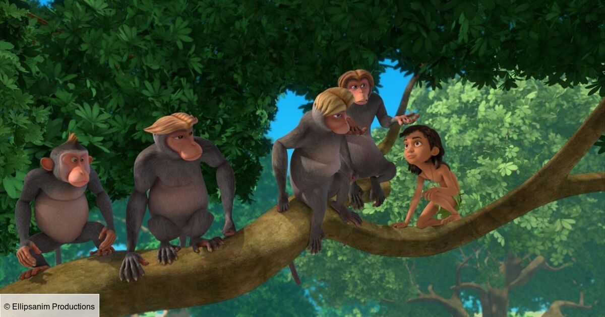 On A Grandi Dans La Jungle Le livre de la jungle