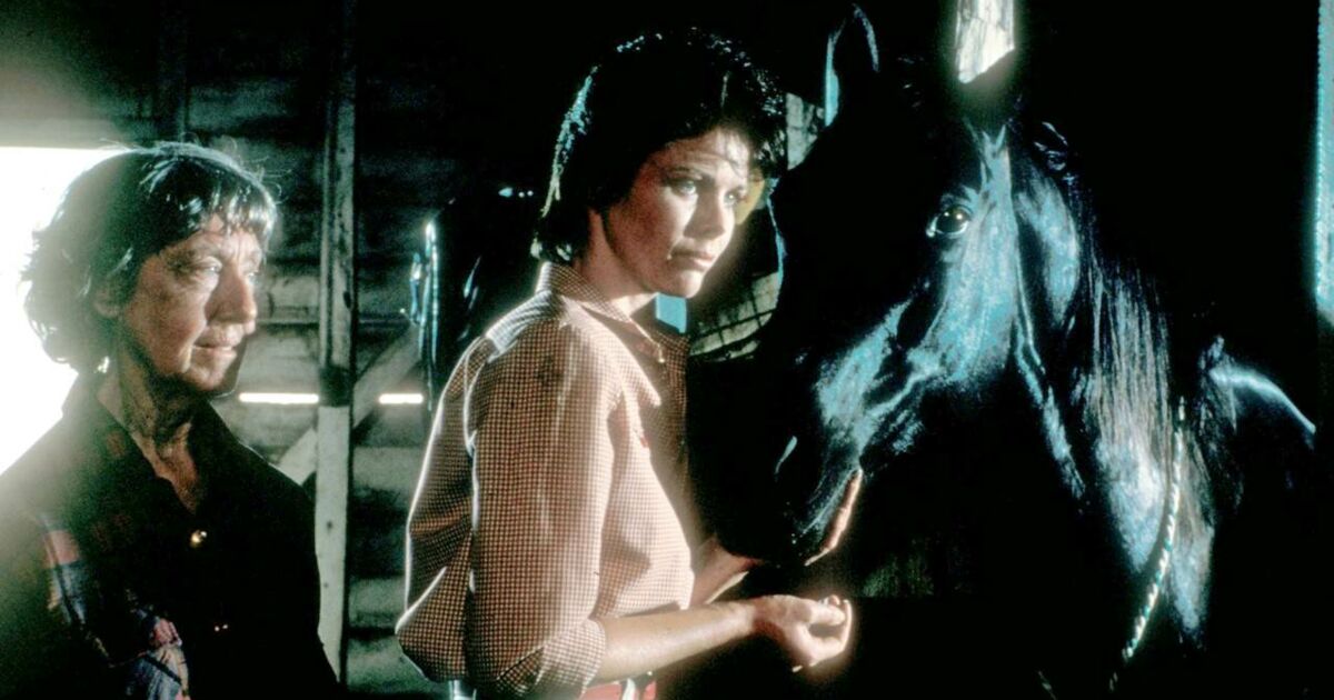 La Vengeance Aux Deux Visages Film 1985