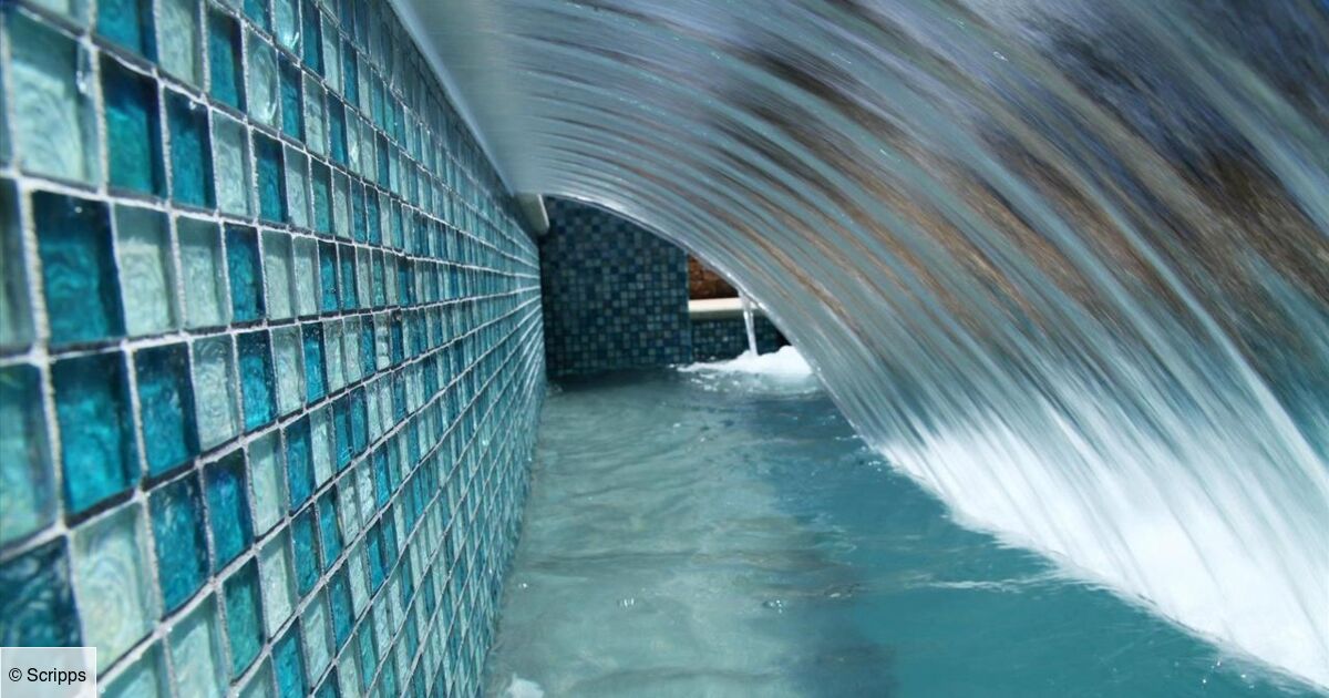 Les Rois De La Piscine 2021 Les rois de la piscine