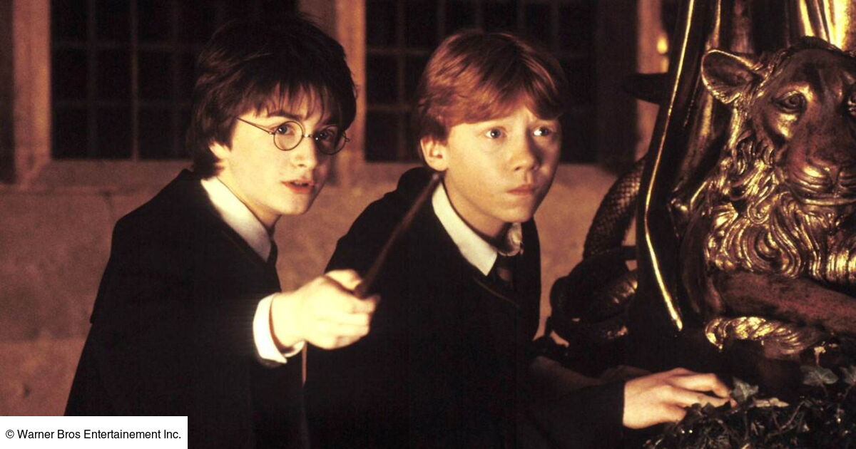 Harry Potter et la Chambre des secrets