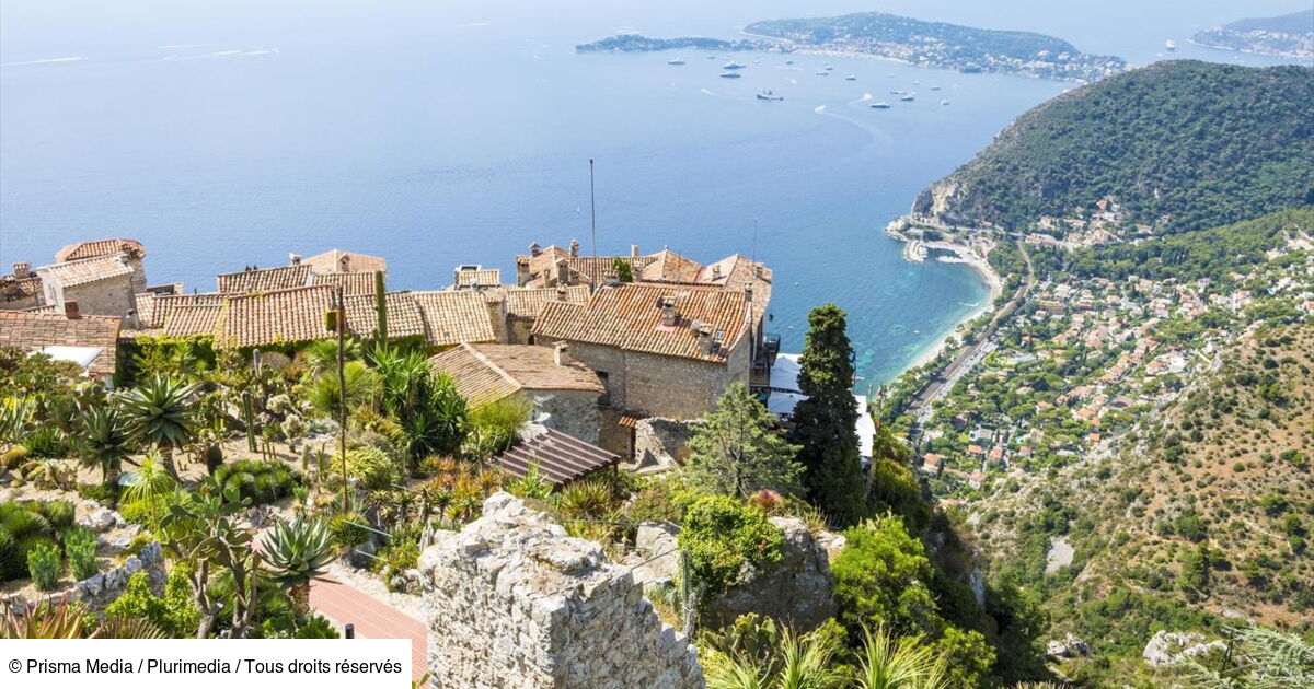 Des Racines Et Des Ailes Cote D Azur