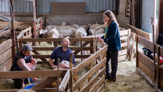 La Doc Et Le Véto Partir Revenir La doc et le véto