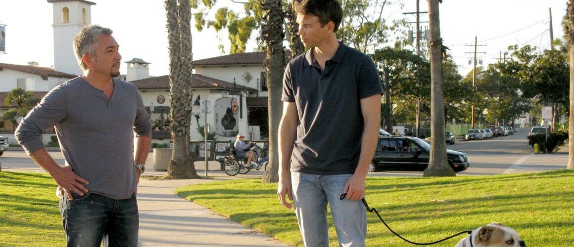 César L Homme Qui Parlait Aux Chiens SOS bouledogue - César, l'homme qui parlait aux chiens - Télé-Loisirs