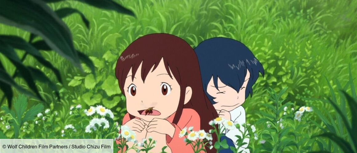 Ame Et Yuki Streaming Les Enfants loups, Ame et Yuki de Mamoru Hosoda (2012), synopsis