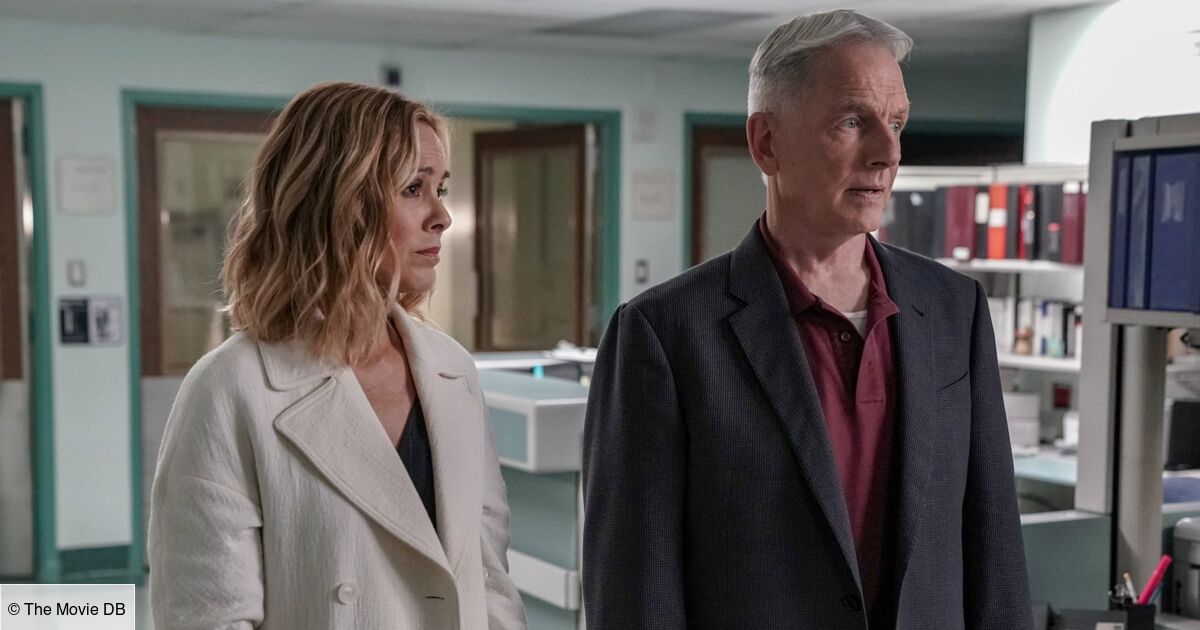 Ncis Mort De La Femme De Palmer NCIS : enquêtes spéciales