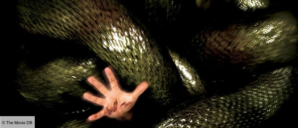Anacondas : à La Poursuite De L'orchidée De Sang Anacondas : à la poursuite de l'orchidée de sang de Dwight H Little