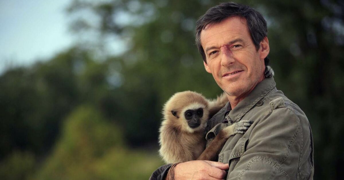 Films Et Séries Tv Avec Jean-luc Reichmann Victor Sauvage
