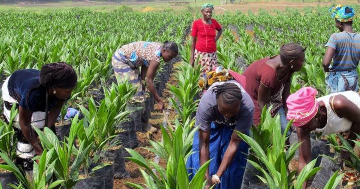 A Sec La Grande Soif Des Multinationales Pourquoi la faim, pourquoi la soif