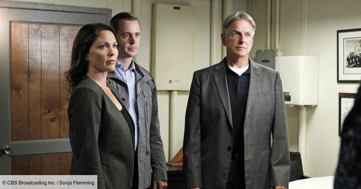 Ncis : Enquêtes Spéciales Saison 19 épisode 13 NCIS : enquêtes spéciales