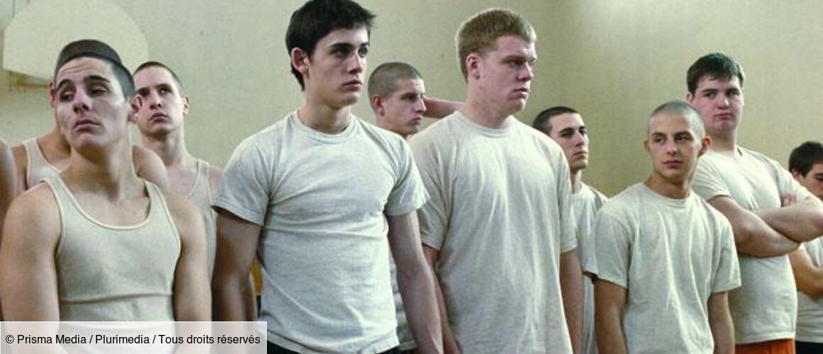 Dog Pound Streaming Vf Dog Pound vf en streaming Film
