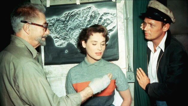 Le démon des eaux troubles de Samuel Fuller (1954), synopsis ...