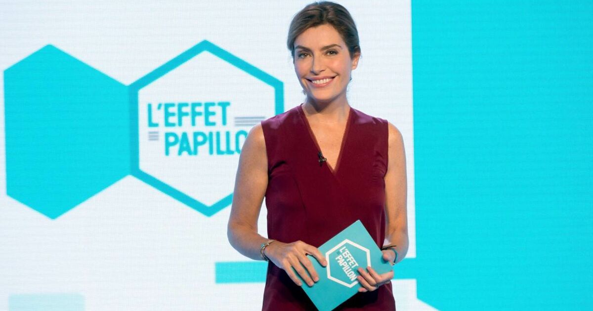 Les Enquetes Du Departement L Effet Papillon L'effet papillon