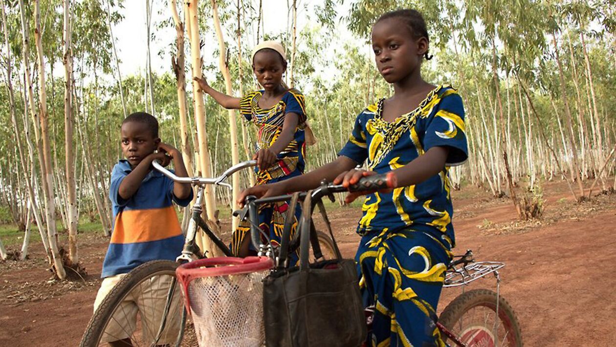 épisodes De Le Chemin De L'olivier Le chemin de l'école d'Olivier, Marie et Véronique (Mali) - Les chemins