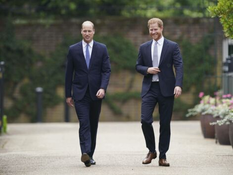 William et Harry réunis pour rendre hommage à Lady Diana