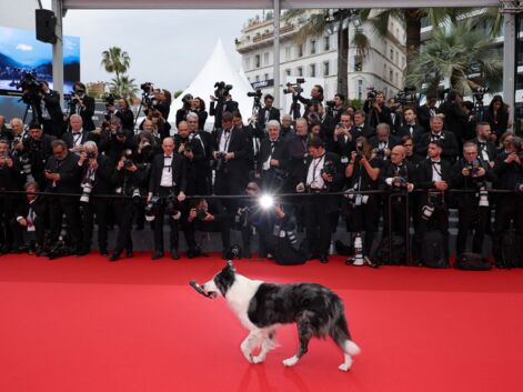 Léa Seydoux, Alexandra Lamy, Juliette Binoche, Meryl Streep : un sublime défilé de stars pour la première montée des marches de Cannes 2024