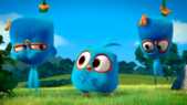 Image de Angry Birds Blues sur Boing