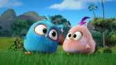 Image de Angry Birds Blues sur Boing