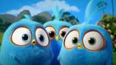 Image de Angry Birds Blues sur Boing