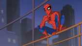 Image de The Spectacular Spider-Man sur Toonami