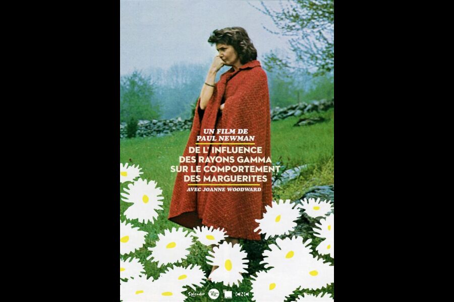 De L'influence Des Rayons Gamma Sur Le Comportement Des Marguerites De L Influence Des Rayons Gamma - muophone