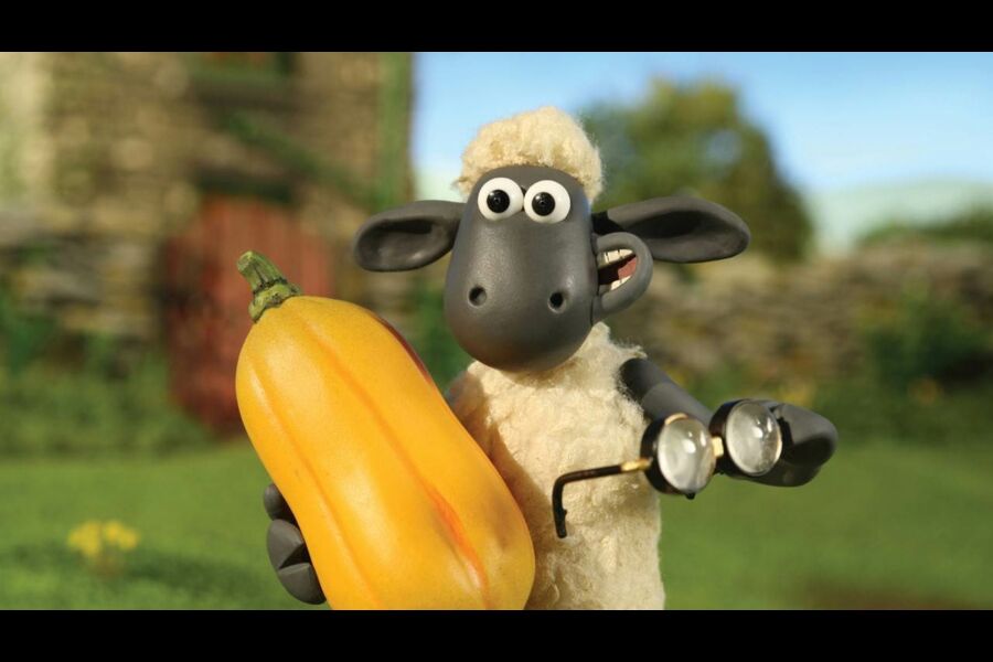 Joyeux Anniversaire Timmy S4e3 Shaun Le Mouton Tele Loisirs