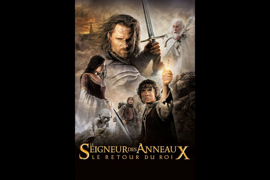 Le Seigneur des anneaux : le retour du roi en Blu Ray : Le Seigneur des  Anneaux : La Trilogie - AlloCiné