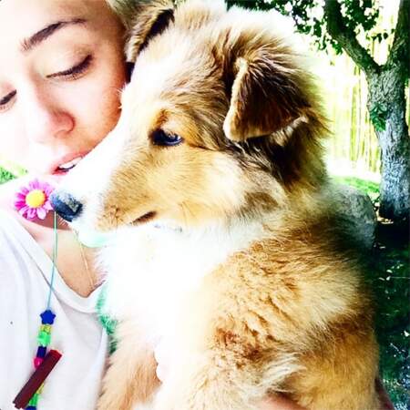Sinon, on adore le nouveau chien de Miley Cyrus