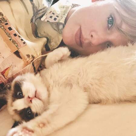 Et Taylor Swift semble avoir adopté le mini-sosie de Grumpy Cat ! JALOUSIE. 