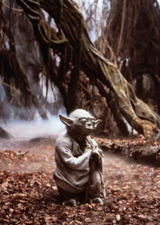 1980, Star Wars épisode V : Yoda, 66 centimètres, vert, incarne la sagesse absolue. 