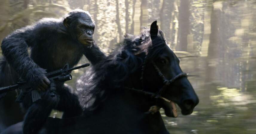 Autre gorille de cinéma avec "La planète des singes: l'affrontement" réalisé par Matt Reeves en 2014.