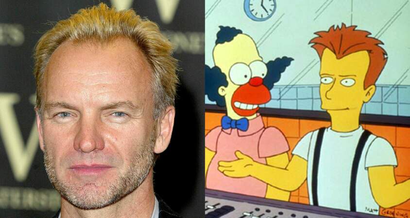 Le chanteur Sting