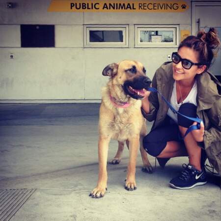 On applaudit Shay Mitchell qui a adopté un chien abandonné. S'il savait comme il est bien tombé !