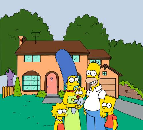 Les Simpsons (26 saisons) : 8 jours 18 heures et 50 minutes 