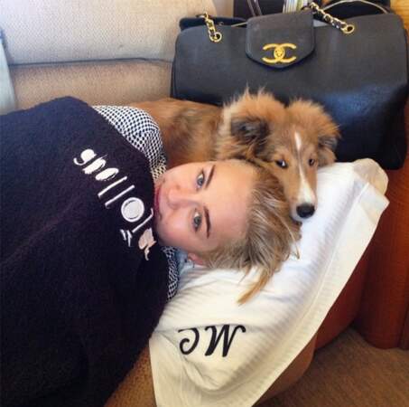 A Télé-Loisirs, on adore le chien de Miley Cyrus