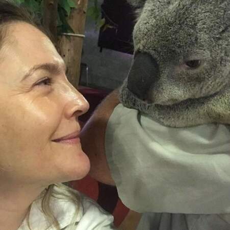 Trop mignon : la belle rencontre de Drew Barrymore avec un koala. 