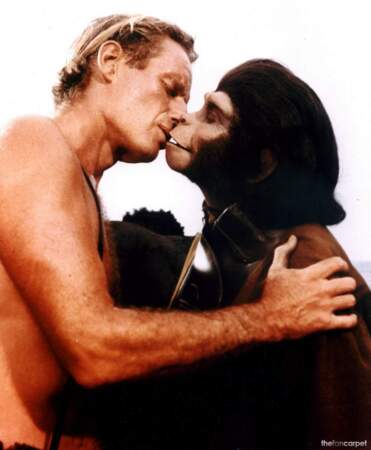 "La planète des singes", 1968. Charlton Heston (Le colonel Taylor) fait un petit bisou à l'un des singes...