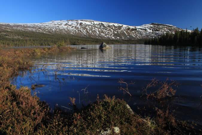 Lacs et montagnes se succèdent au gré des 1300 km