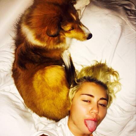 Autre fan des chiens, Miley Cyrus qui ne quitte plus son nouveau toutou, Emu