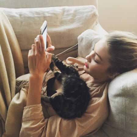 Gigi Hadid, elle, a même créé un compte Instagram pour son chat ! 