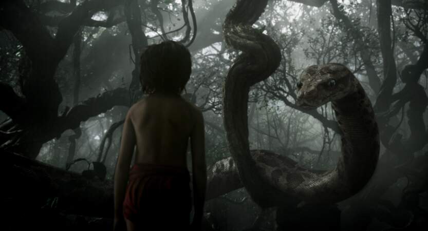 Mowgli face à Kaa dans Le Livre de la jungle (13/04)