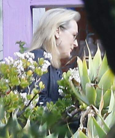 Meryl Streep arrive aux funérailles privées de Carrie Fisher et de sa mère Debbie Reynolds