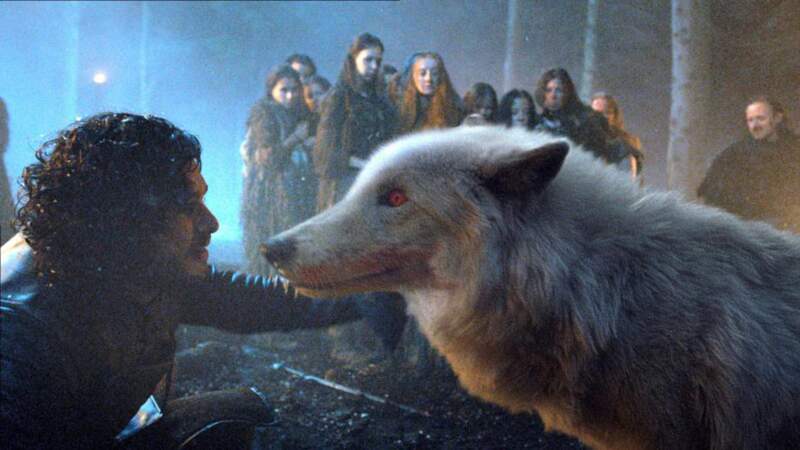 Fantôme, le loup blanc de Jon Snow dans Game of Thrones
