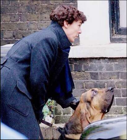 Sherlock aurait-il enfin trouvé un ami aussi fidèle que John Watson ? 