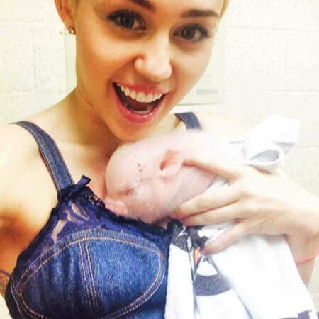 Amoureuse des animaux, la chanteuse Miley Cyrus a ajouté un nouveau membre à sa ménagerie, la petite Bubba Sue